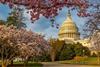 Webinar- Geopolitics and the US midterms