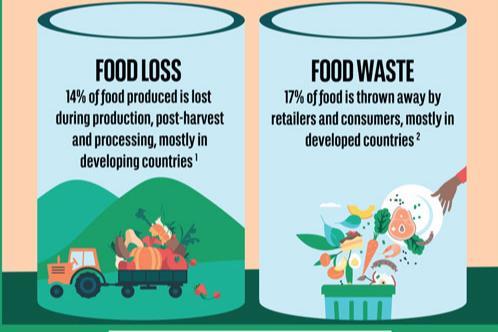 How tackling food waste contributes to climate change mitigation | BNP ...