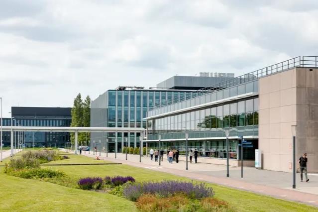 Dutch Fund Acquires The Bottom Line