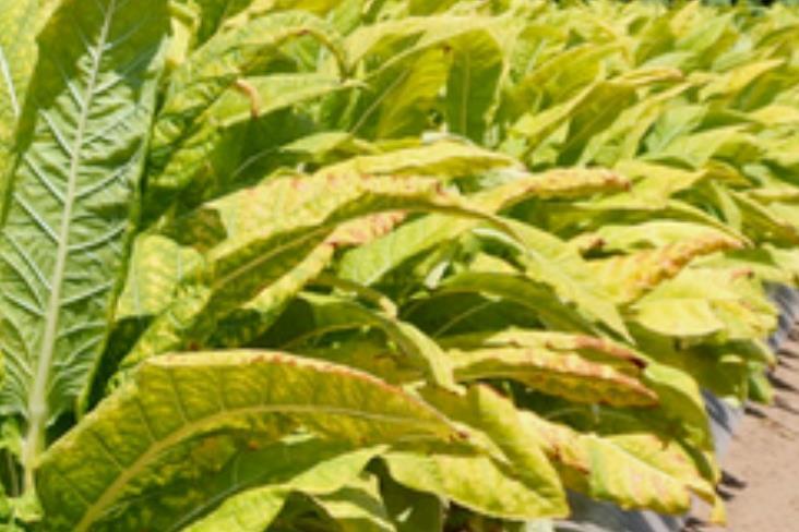 Cannes lions winners 2019 picture