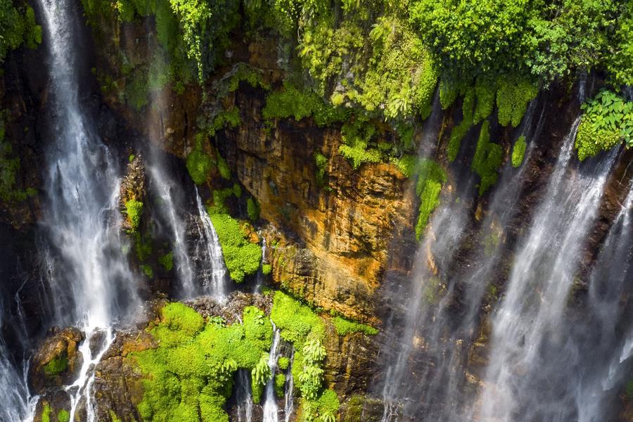 Federated Hermes Stewardship Report 2021 Federated Hermes Reference Hub