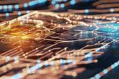 Healthy Labor Market in the Face of AI