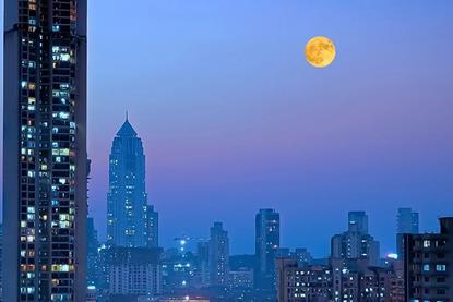 Investor stewardship priorities for India