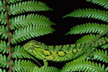 AI’s Hidden Cost- Why Water Risk Belongs on Every Investor’s Radar