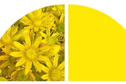 2024 Stewardship Annual Report