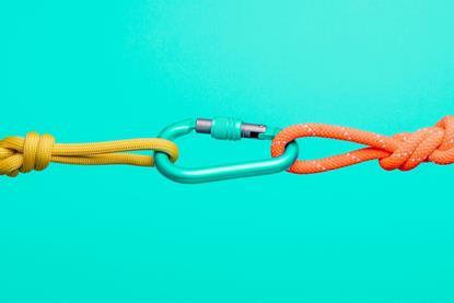 ropes-carabiner-lg