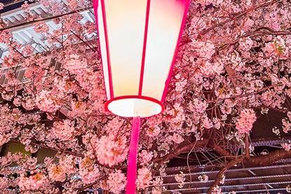 Japan- A timely opportunity to seize long-term potential