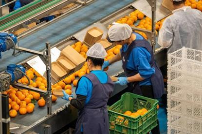 More demand, less land- Supply-demand fundamentals of farmland