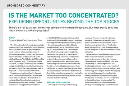 Is the Market too Concentrated? Exploring Opportunities Beyond the Top Stocks