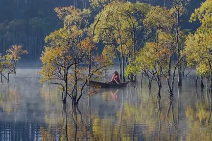 Unpacking Asia’s 2025 Sustainable Finance Playbook