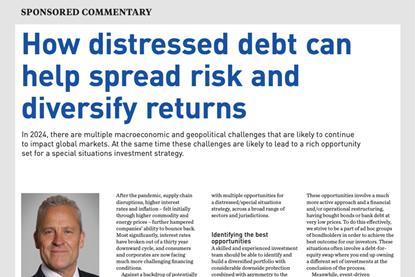 How distressed debt can help spread risk and diversify returns