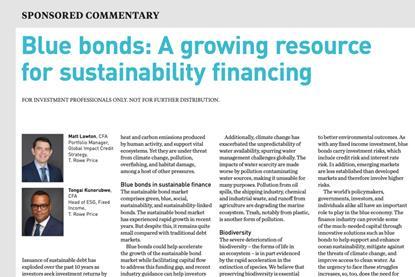 Blue bonds- A growing resource for sustainability financing
