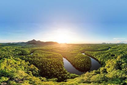 Sustainability in the age of Trump- Expert insights for investors