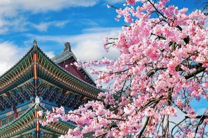 Behind South Korea’s spectacular surge