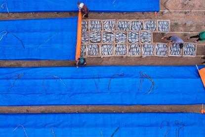 Financing the future of food