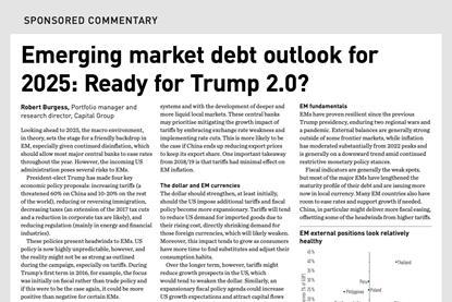 Emerging market debt outlook for 2025 - Ready for Trump 2.0?