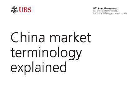 China market terminology explained