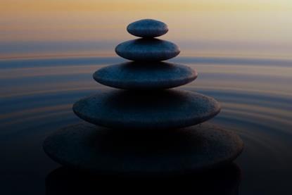 2026 Fixed Income Outlook- Stay Calm and Keep Your Carry On