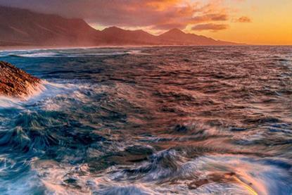 Investors reveal their top ESG investment themes and more