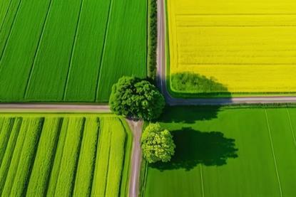 The future of sustainable investing- Strategies, challenges and opportunities