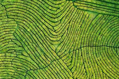 Multi-Asset Investments Views- From extreme caution to upside chasing