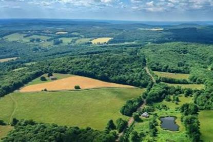 Investing in biodiversity through real assets