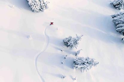 Fixed Income Outlook- Why flexibility will be key for fixed income investors in 2026