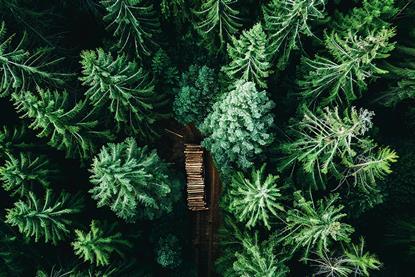 In Conversation – Unlocking opportunities in private equity