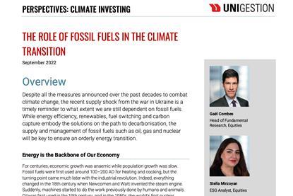 THE ROLE OF FOSSIL FUELS IN THE CLIMATE TRANSITION