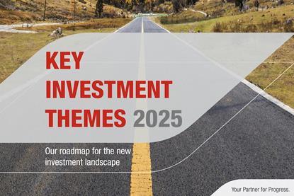 Key Investment Themes 2025