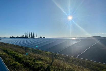 Curtailment and Constraints- Understanding the Grid’s Role in Renewable Energy Integration