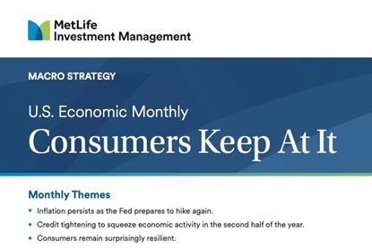 mim-economic-monthly-consumers-keep-at-it