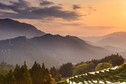 2026-outlook-page-banner