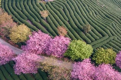 outlooks-2026-equity-banner