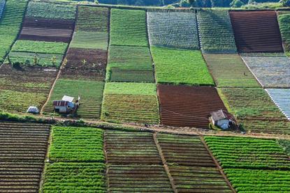 outlooks-2026-fixed-income-banner