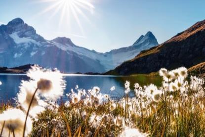 Article Countdown to the new year- Views from the Global Equity team