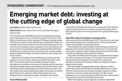 Emerging market debt- investing at the cutting edge of global change