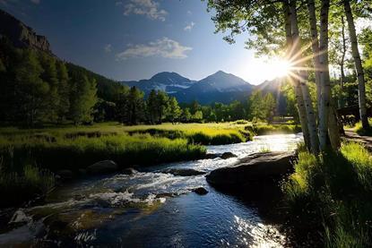 Show me the value- Investing in carbon removal, part one