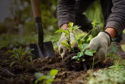 Show me the value- Investing in carbon removal, part two