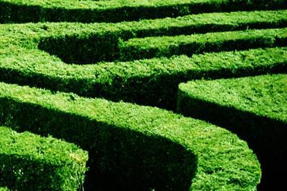 navigating-uncertainty-hero