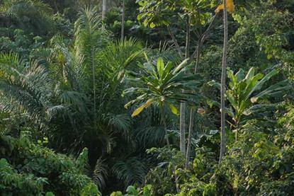 Scaling up climate finance with smarter climate risk insights