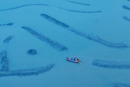 Market Outlook - Global equities- The great divide