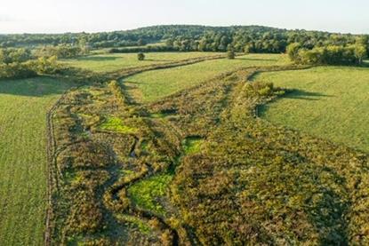 U.S. markets for ecosystem restoration- Enabling investment in nature-based solutions