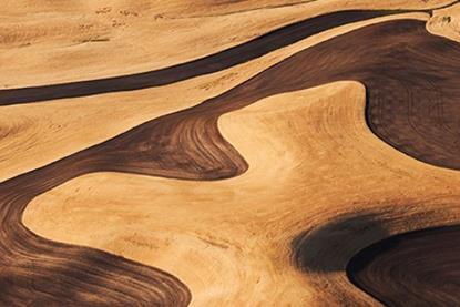 US equities - Artificial intelligence- Not a bubble… yet