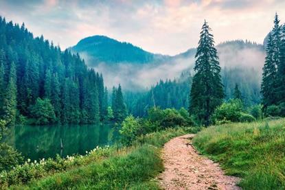 Investing in nature-based solutions