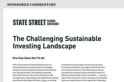 The Challenging Sustainable Investing Landscape