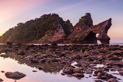 Meeting the stewardship goals of universal owners