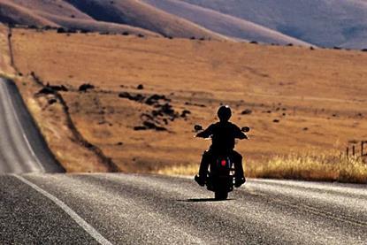 Ride the policy noise and shifts