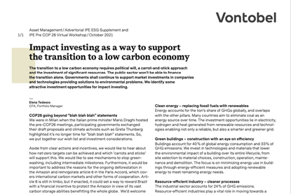 Impact investing as a way to support the transition to a low carbon economy