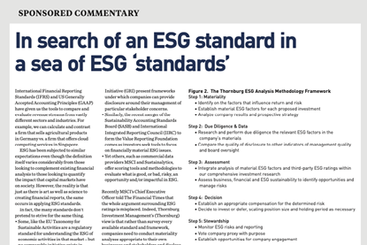 In search of an ESG standard in a sea of ESG ‘standards’